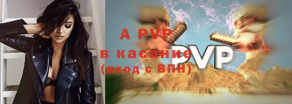 стаф Нефтегорск
