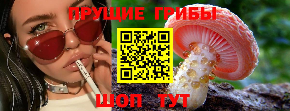 Саки  цены   Вход с VPN  Псилоцибиновые грибы Psilocybe  Псилоцибиновые грибы мухоморы 